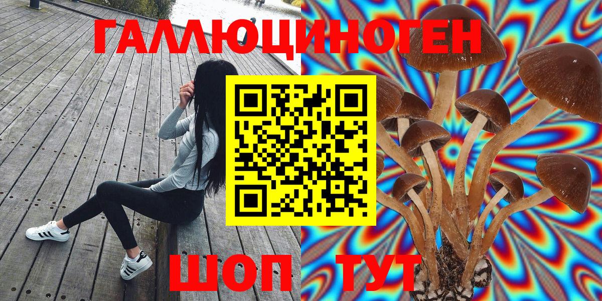 Бошки Шишки Ростов Великий