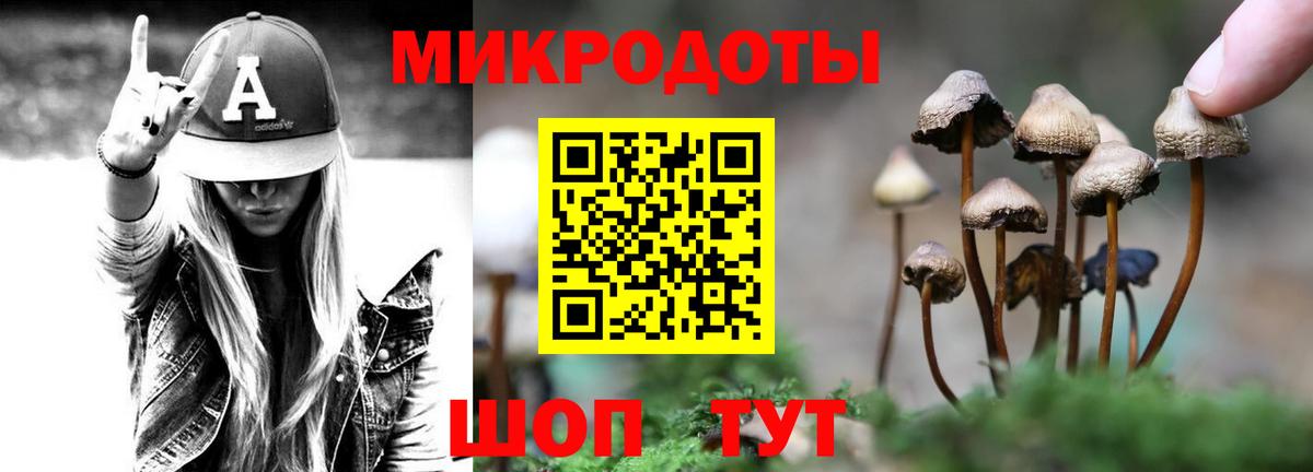 Псилоцибиновые грибы прущие грибы Ростов Великий